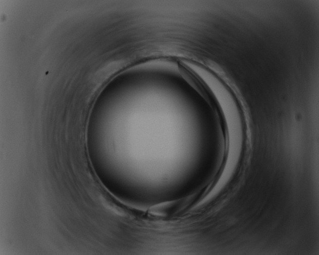 X0000051860481200507012344