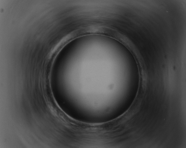 X0000051860482200507012344