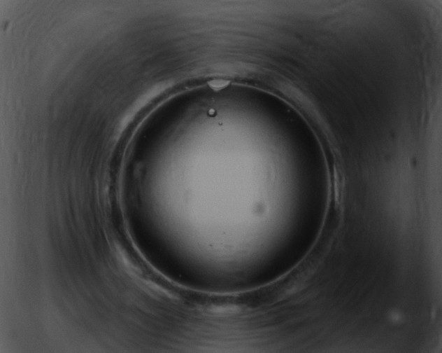 X0000051860483200507012344