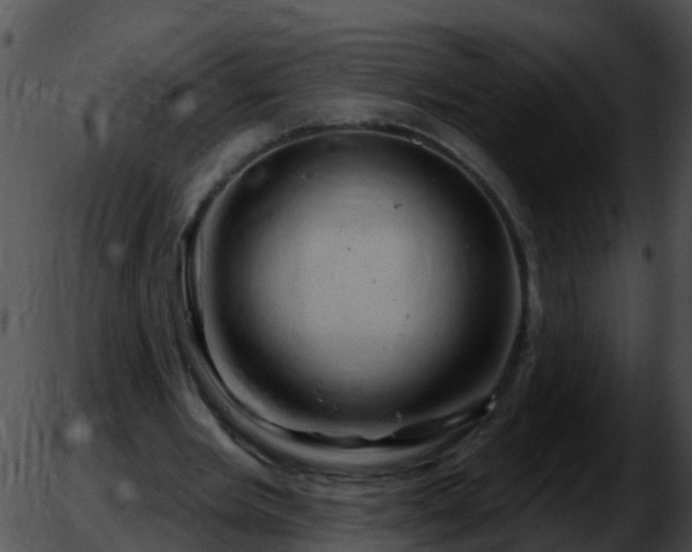 X0000051860485200507012344