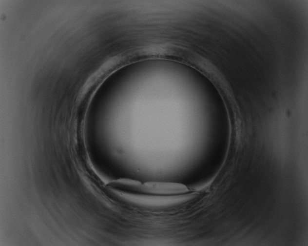 X0000051860486200507012344