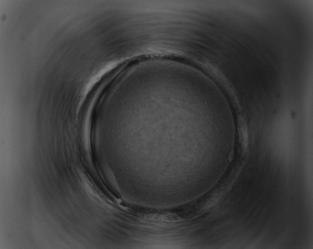 X0000051860488200507012344