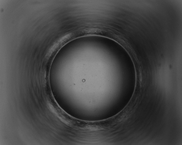 X0000051860490200507012344