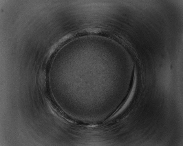 X0000051860492200507012344