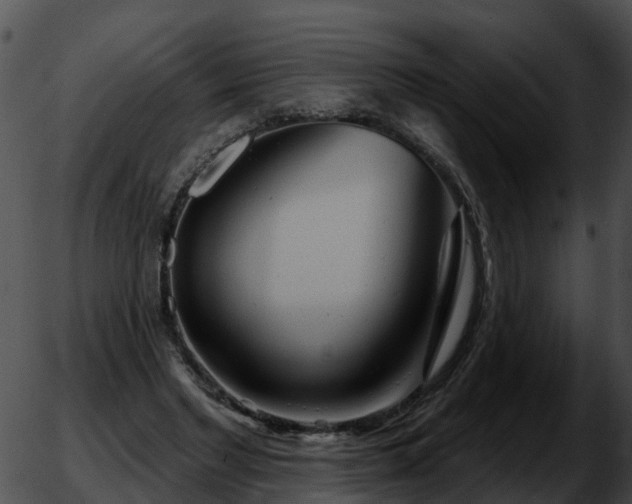 X0000051860493200507012344