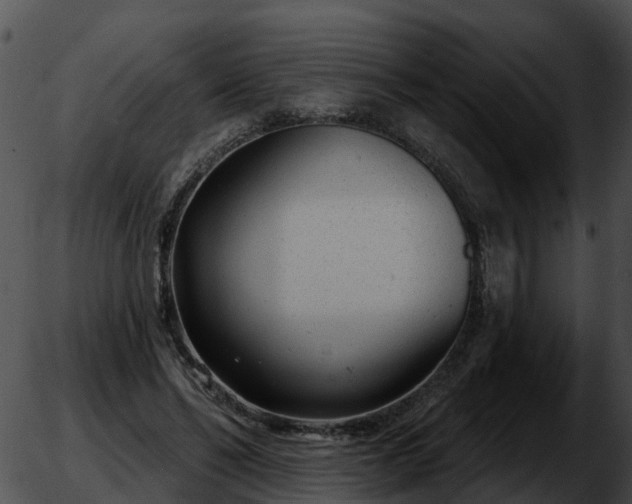 X0000051860494200507012344