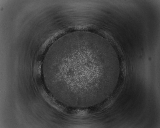 X0000051860495200507012344