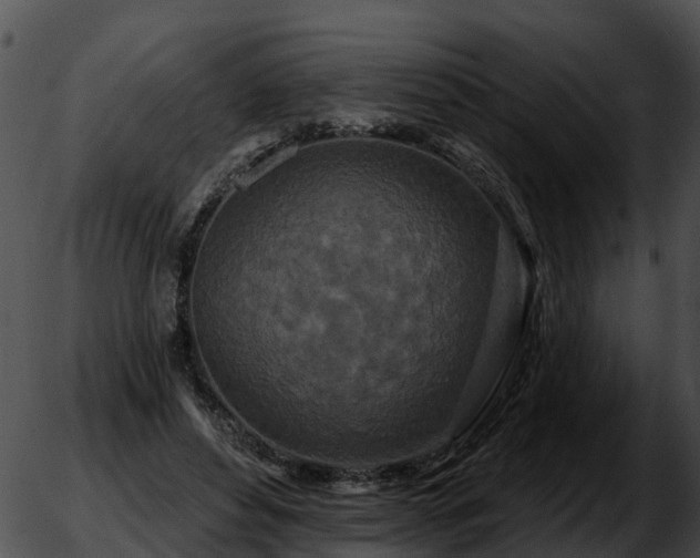 X0000051860496200507012344