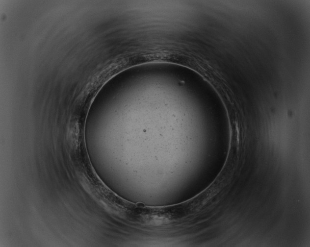 X0000051860498200507012344