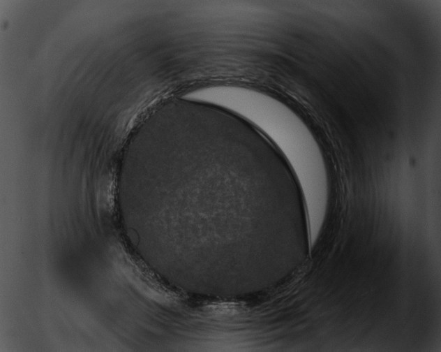 X0000051860499200507012344