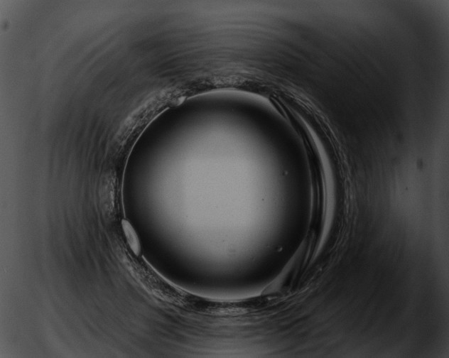 X0000051860501200507012344