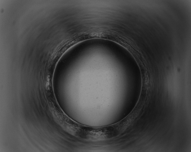 X0000051860502200507012344