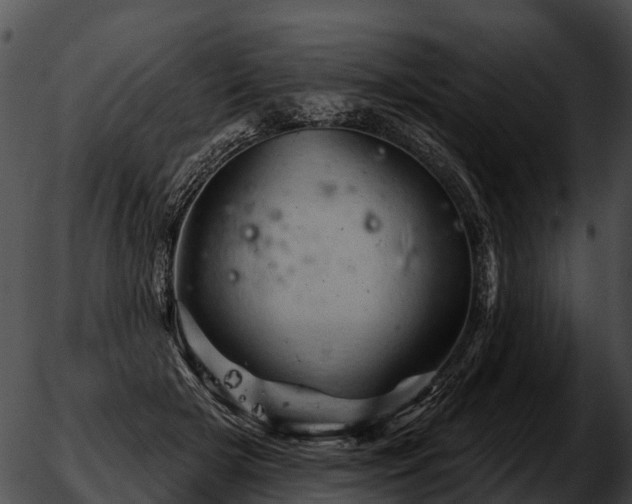 X0000051860505200507012344