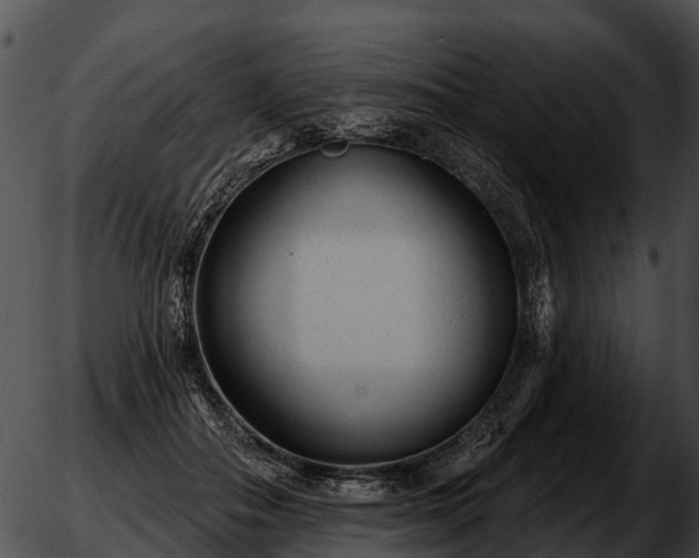 X0000051860506200507012344