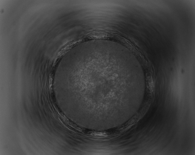 X0000051860507200507012344