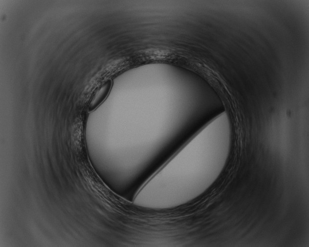 X0000051860509200507012344