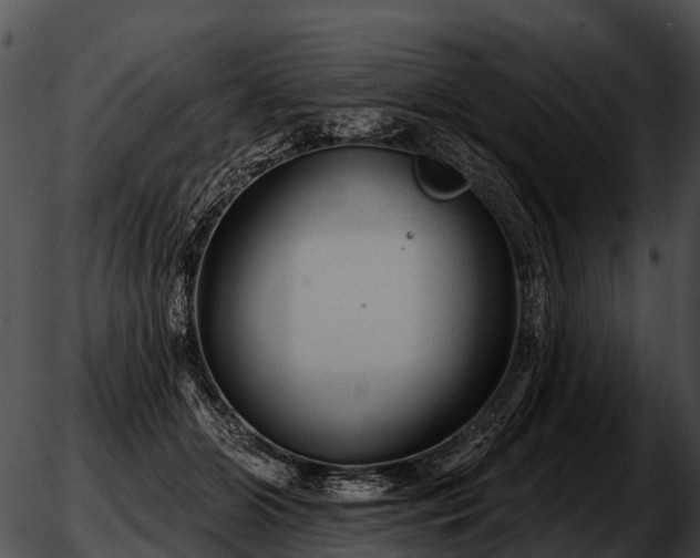 X0000051860510200507012344