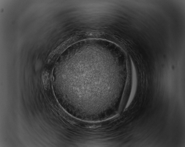 X0000051860511200507012344