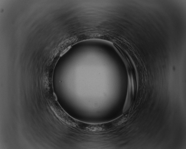 X0000051860512200507012344