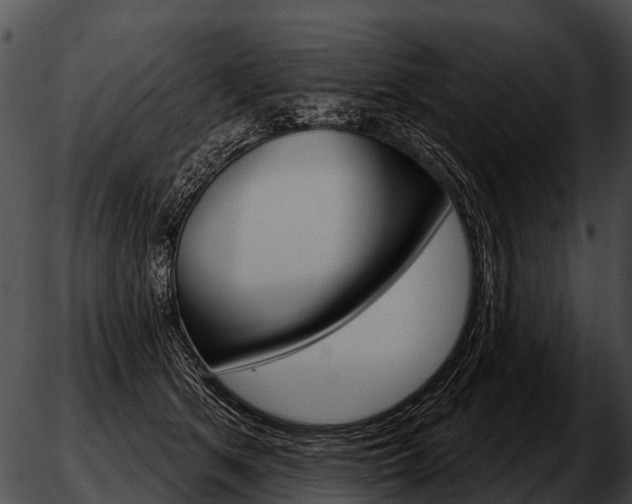 X0000051860513200507012344