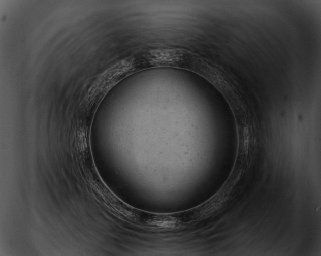 X0000051860514200507012344