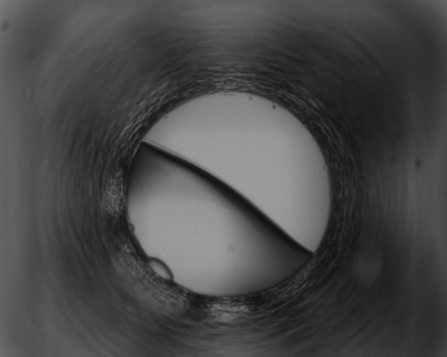 X0000051860515200507012344