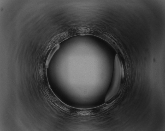 X0000051860516200507012344