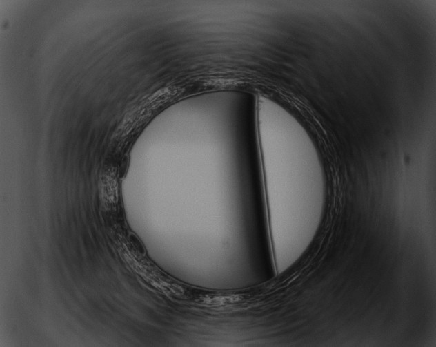 X0000051860517200507012344