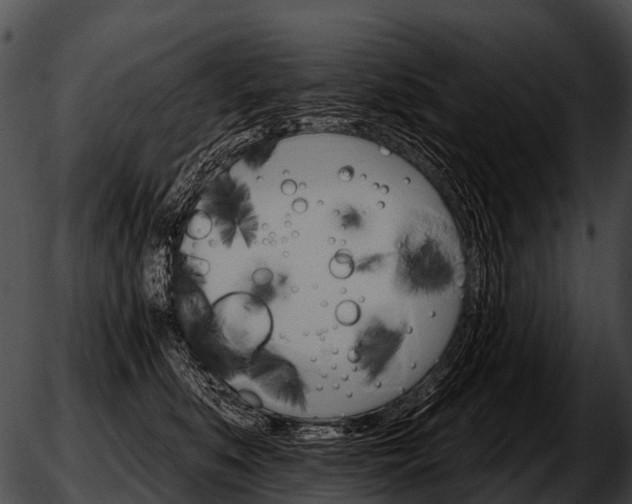 X0000051860519200507012344