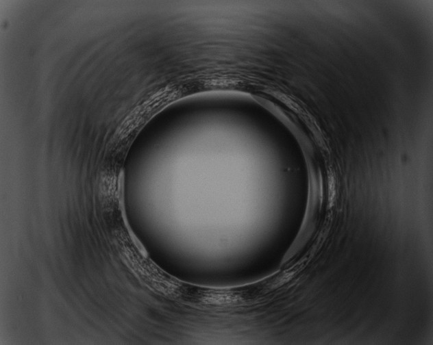 X0000051860521200507012344