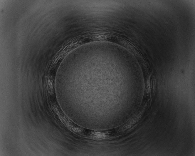 X0000051860522200507012344