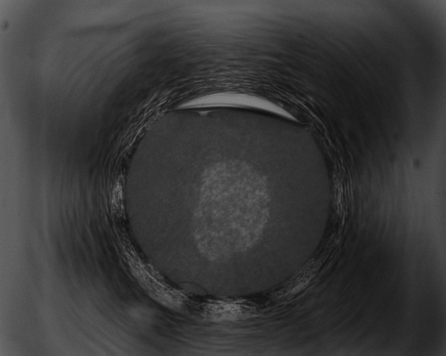 X0000051860523200507012344