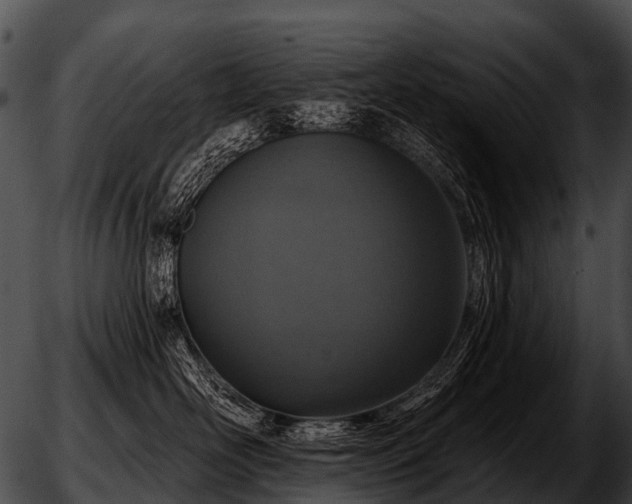 X0000051860526200507012343