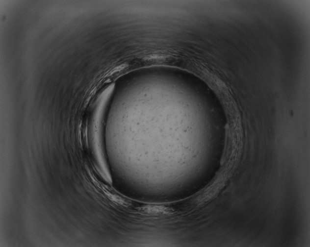 X0000051860528200507012343