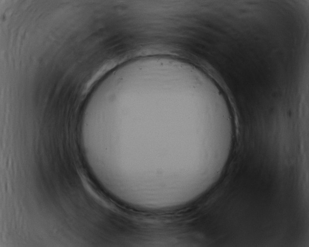 X0000051860530200507012343