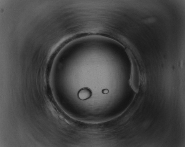 X0000051860532200507012343