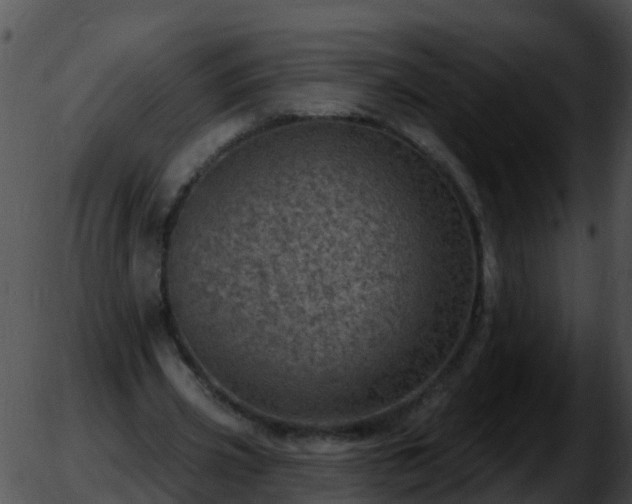 X0000051860533200507012343