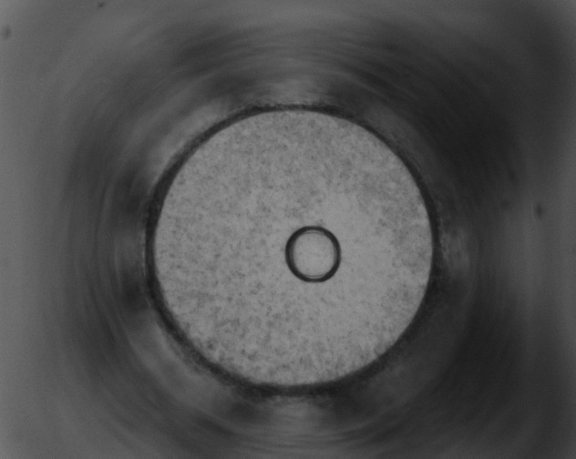 X0000051860534200507012343