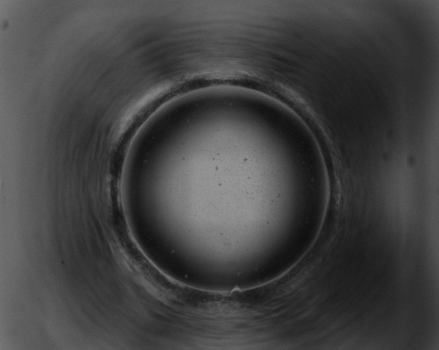 X0000051860535200507012343