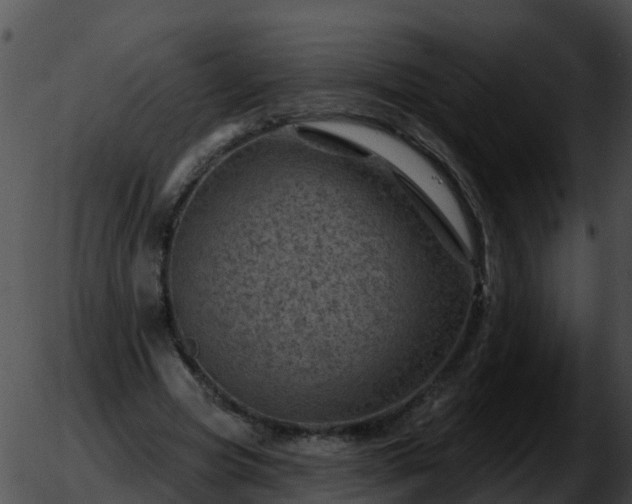 X0000051860537200507012343