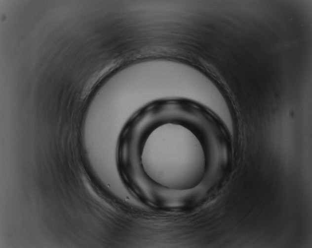 X0000051860538200507012343