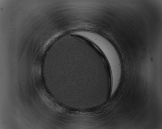 X0000051860539200507012343