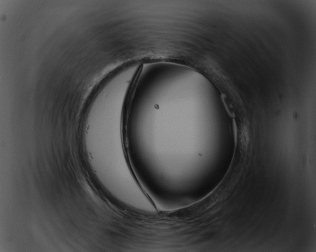 X0000051860540200507012343