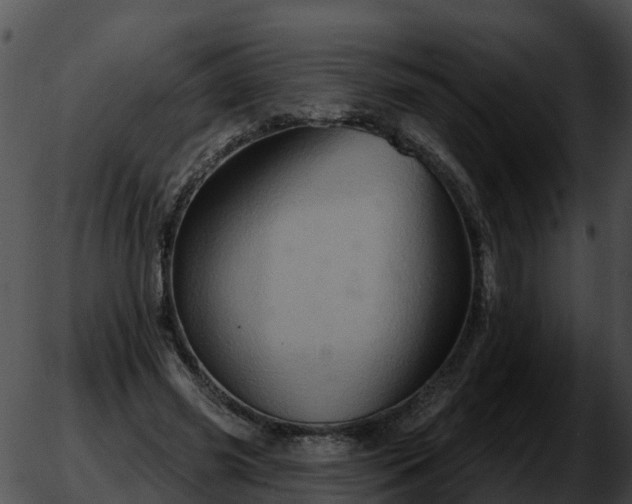 X0000051860541200507012343