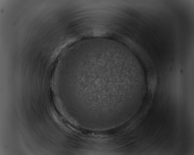 X0000051860542200507012343