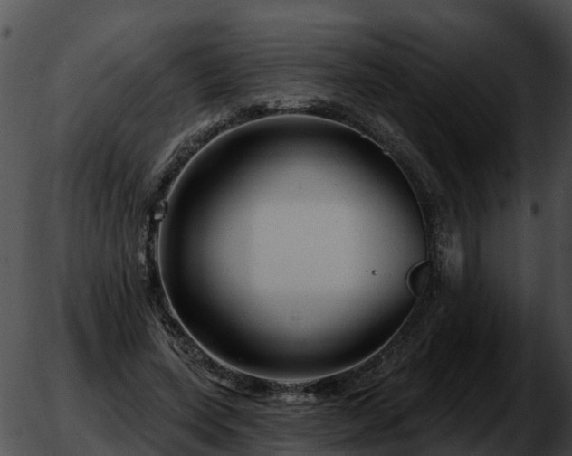 X0000051860543200507012343