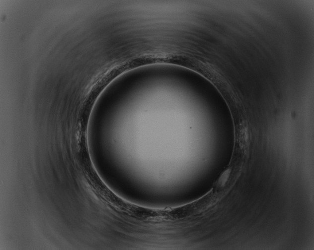 X0000051860544200507012343