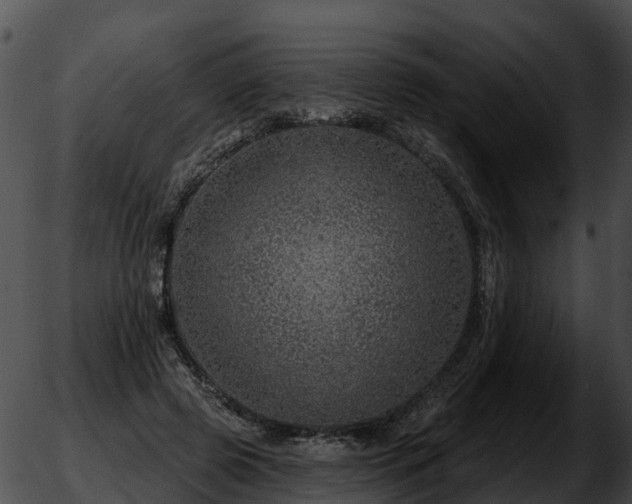 X0000051860545200507012343