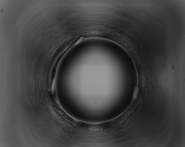 X0000051860546200507012343