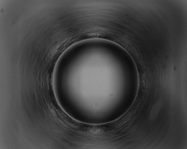 X0000051860547200507012343